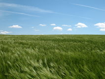 ?????????????????????????????????????????????????????????????????????????????????